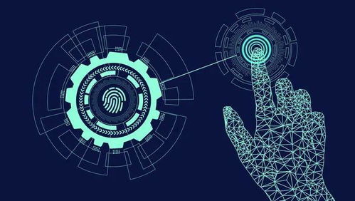 母婴行业新动销 数字文化创意软件的驱动与反思